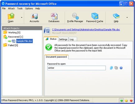 Word Password Recovery 5