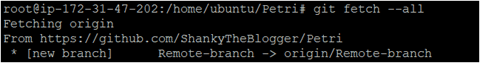 Executing git fetch command to check all the details from the remote branch