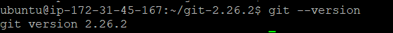 We check the Git version after installing it
