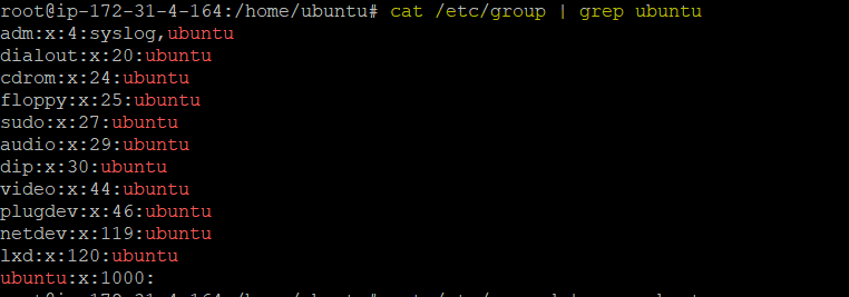 Checking the list of groups of a specific user with the cat command