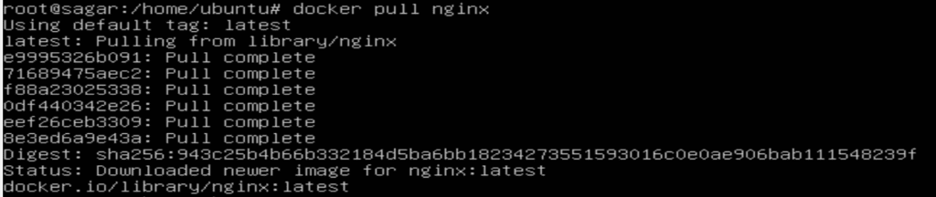 Pulling the nginx image from the Docker Hub
