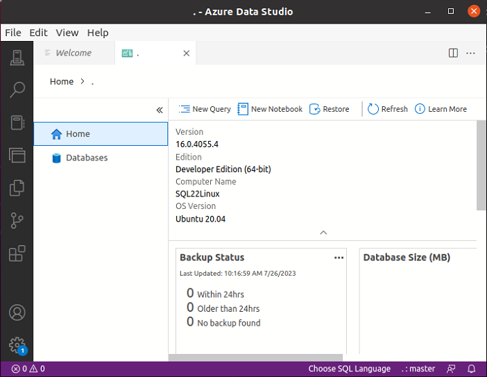 Azure Data Studio is up and running on Ubuntu