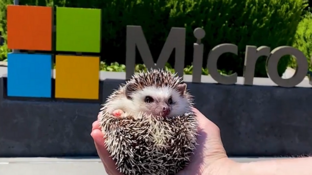 Microsoft Edgehog