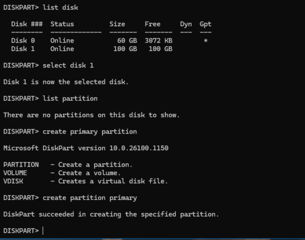 We've selected the new disk, and created a new primary partition