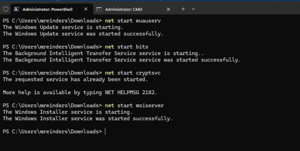 Starting the core Windows Update services