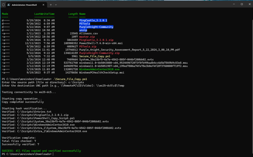The output from running the PowerShell script checking the network before copying files