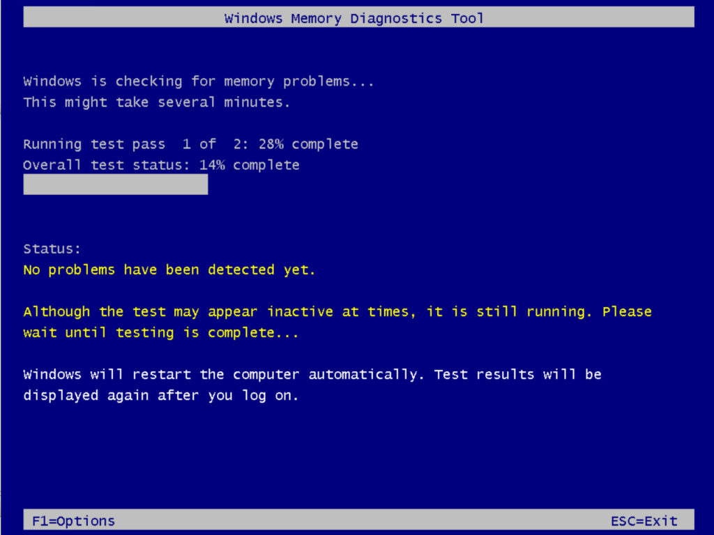 The Windows Memory Diagnostic Test is running