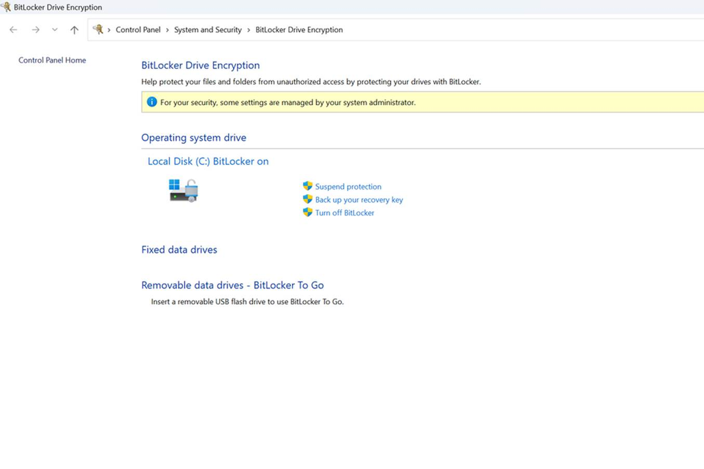 Disable BitLocker in the Windows Control Panel
