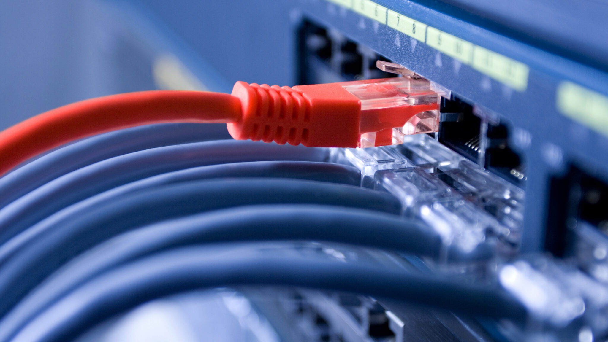 Network Devices Explained Petri com